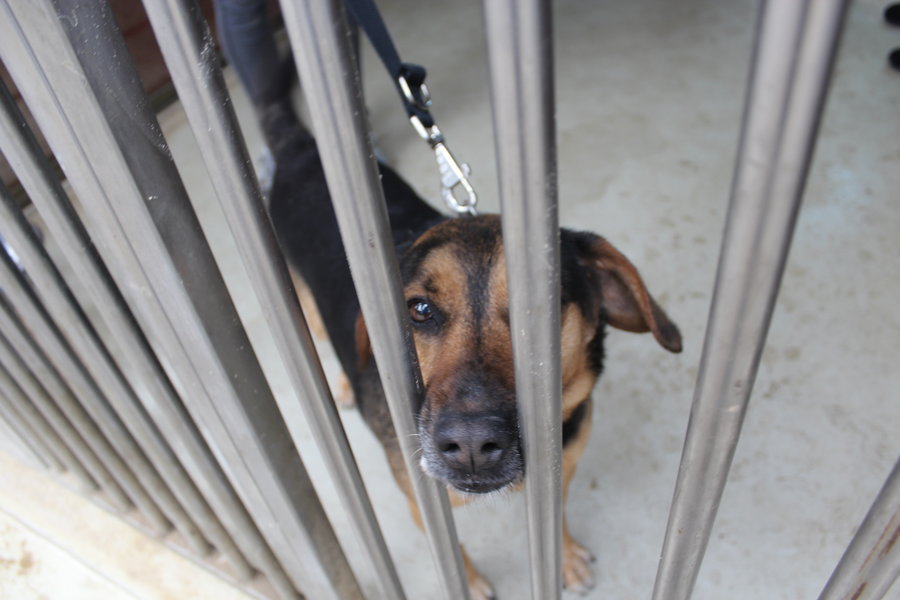 To nie zabawka. Nie wszyscy o tym wiedzą