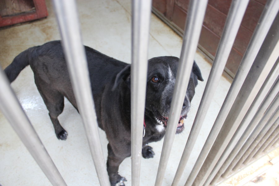 To nie zabawka. Nie wszyscy o tym wiedzą