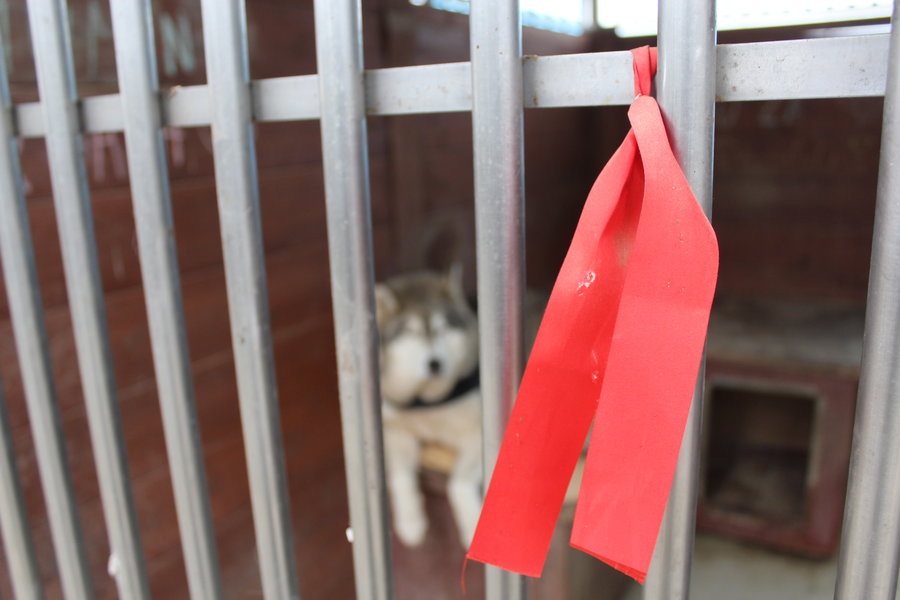 To nie zabawka. Nie wszyscy o tym wiedzą