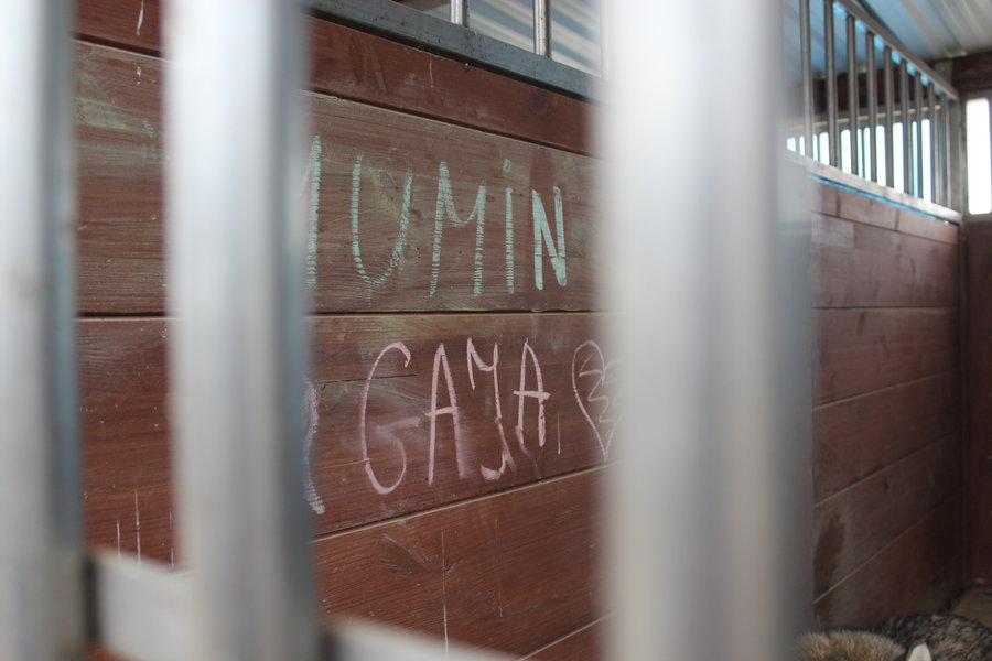 To nie zabawka. Nie wszyscy o tym wiedzą