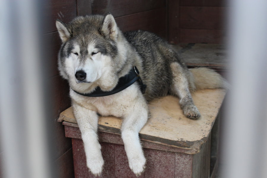 To nie zabawka. Nie wszyscy o tym wiedzą
