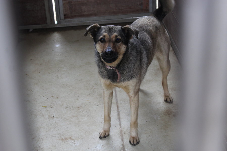To nie zabawka. Nie wszyscy o tym wiedzą