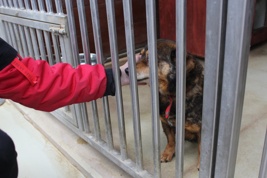 To nie zabawka. Nie wszyscy o tym wiedzą