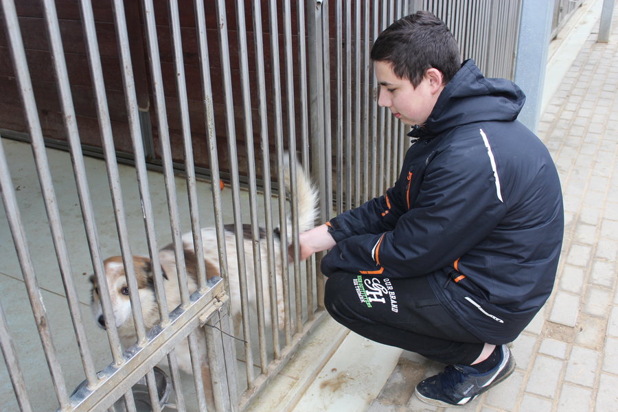 To nie zabawka. Nie wszyscy o tym wiedzą
