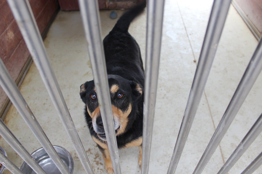 To nie zabawka. Nie wszyscy o tym wiedzą