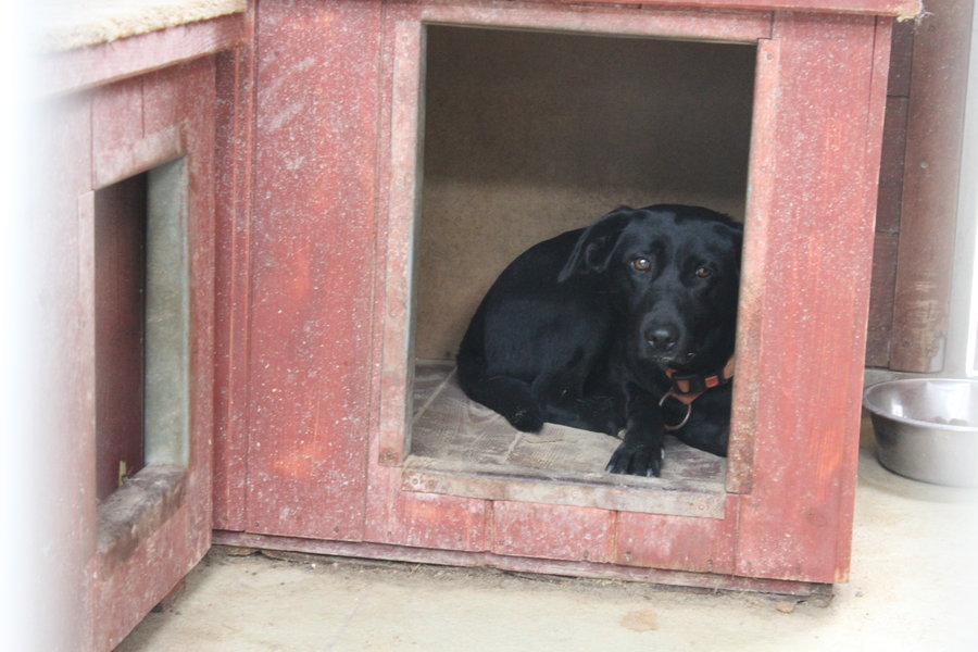 To nie zabawka. Nie wszyscy o tym wiedzą