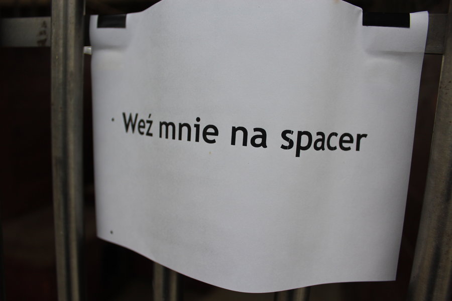 To nie zabawka. Nie wszyscy o tym wiedzą