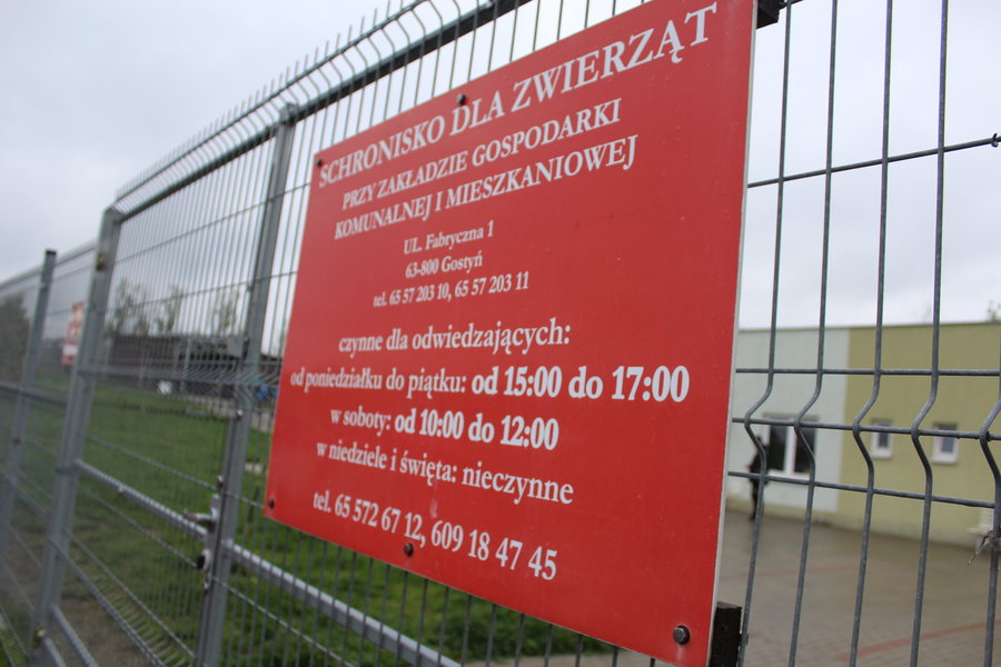 To nie zabawka. Nie wszyscy o tym wiedzą