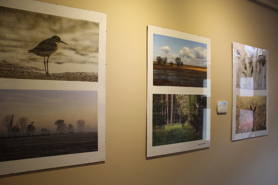 Każdy z nich spojrzał na naturę inaczej...