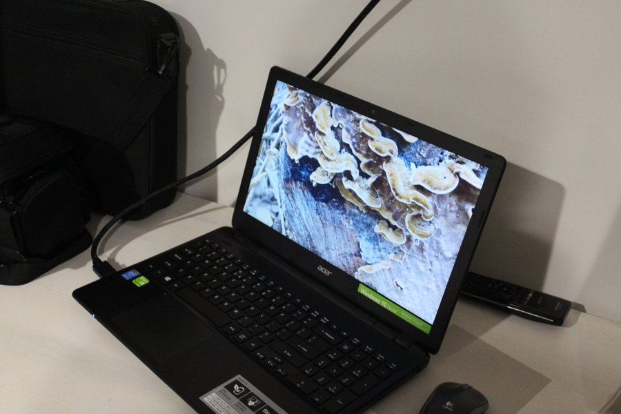 Każdy z nich spojrzał na naturę inaczej...