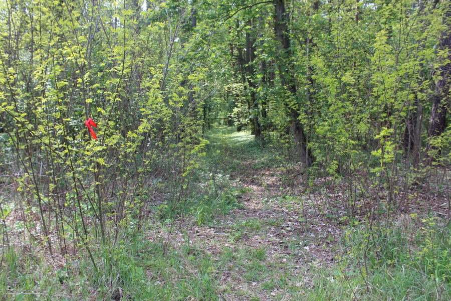 Zagadka została rozwikłana