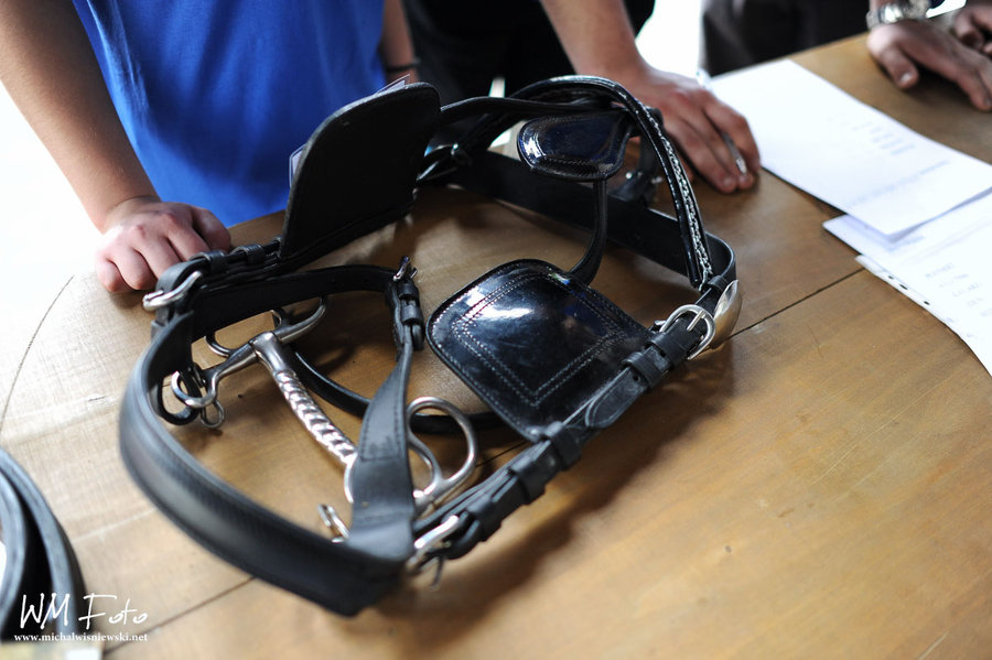 Poniec przeniósł się w czasie