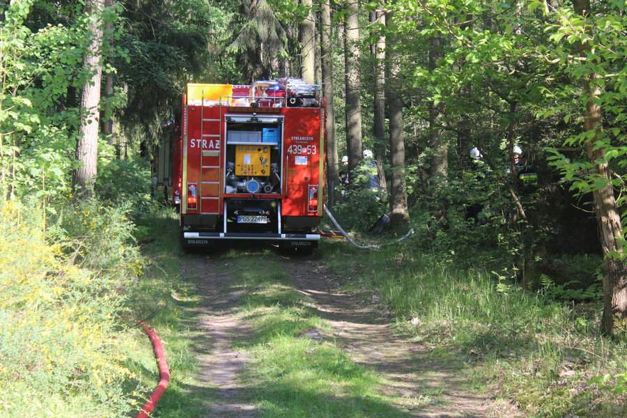 Groźny wypadek i pożar lasu