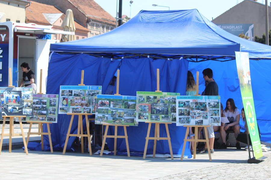 W zdrowym ciele zdrowy duch