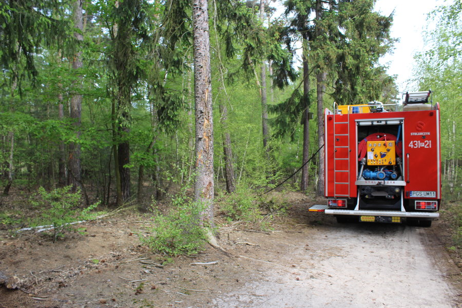 Ktoś podpalił las?