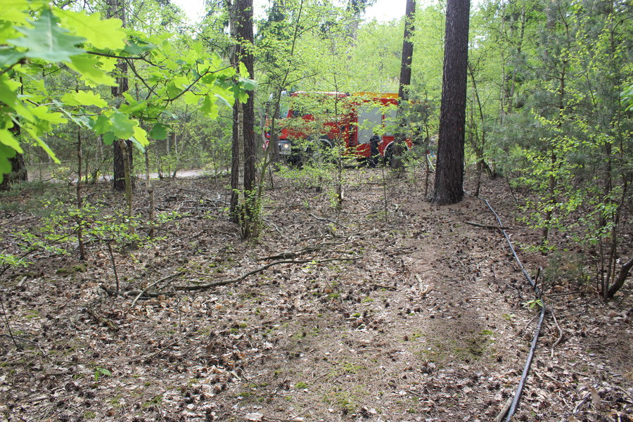 Ktoś podpalił las?