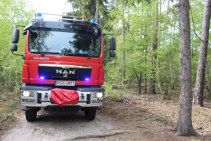 Ktoś podpalił las?