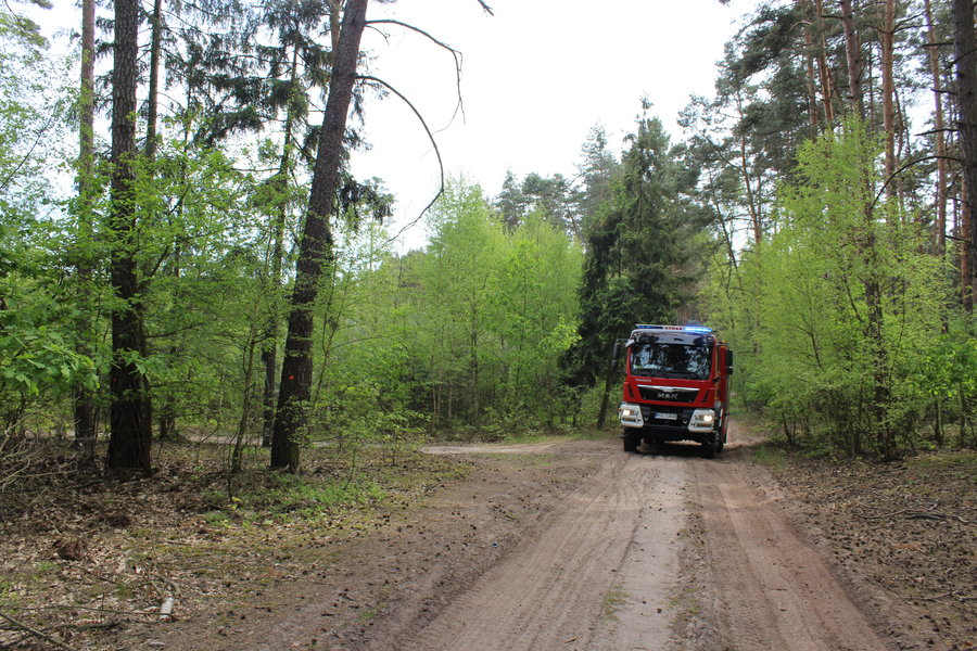 Ktoś podpalił las?