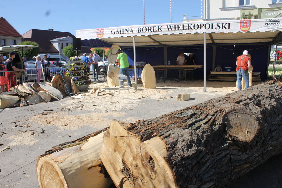 Dzień dziecka w kwiatowym nastroju