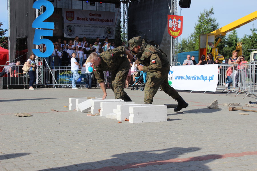 Borkowianie świętowali 625. urodziny miasta