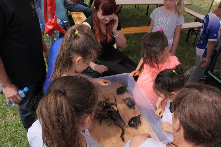 Dziecięce święto nad wodą