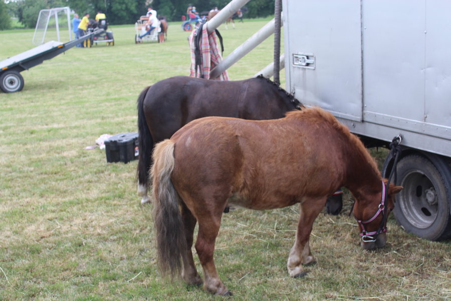 Liczyła się szybkość i zręczność