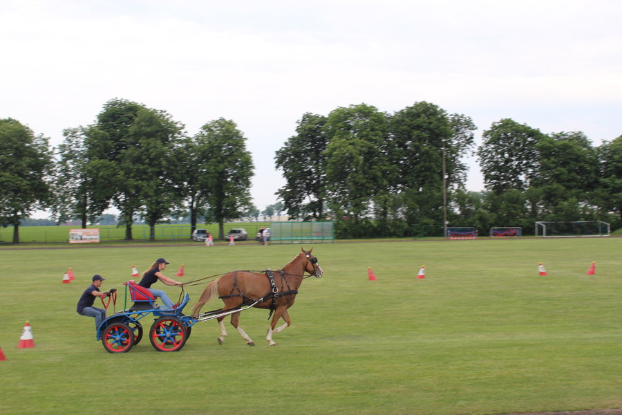 Liczyła się szybkość i zręczność