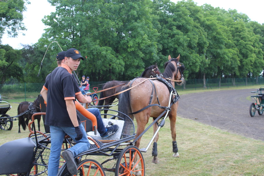 Liczyła się szybkość i zręczność