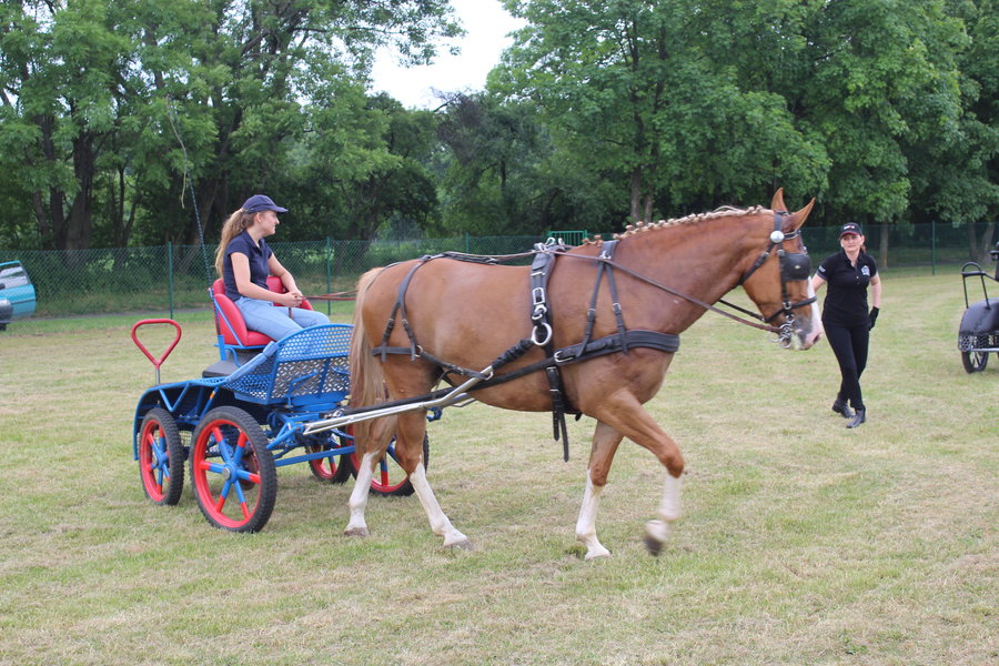 Liczyła się szybkość i zręczność