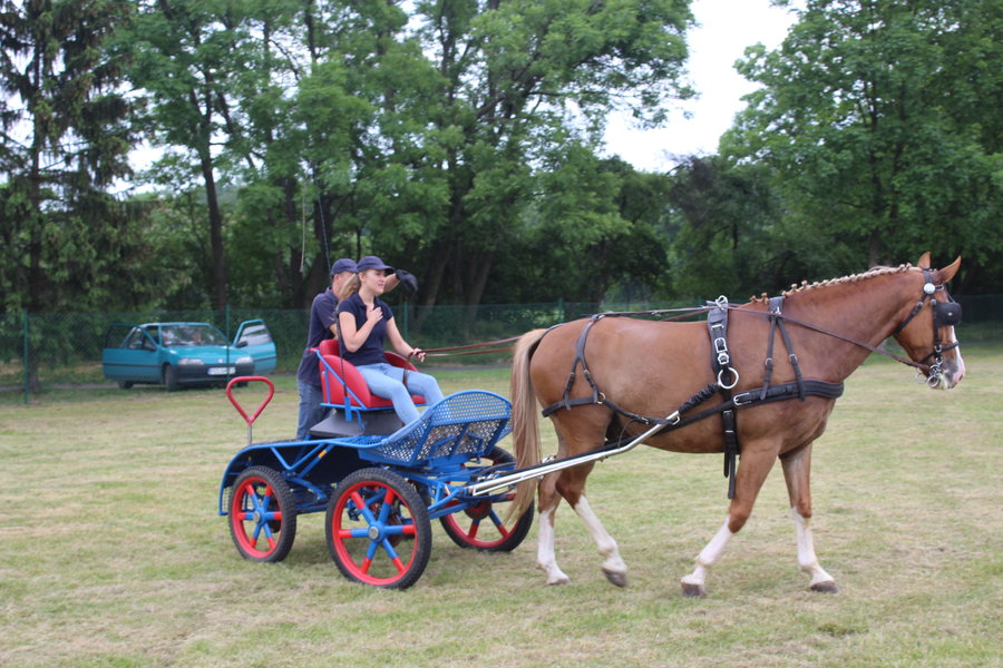 Liczyła się szybkość i zręczność