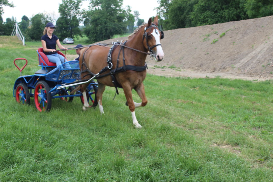 Liczyła się szybkość i zręczność