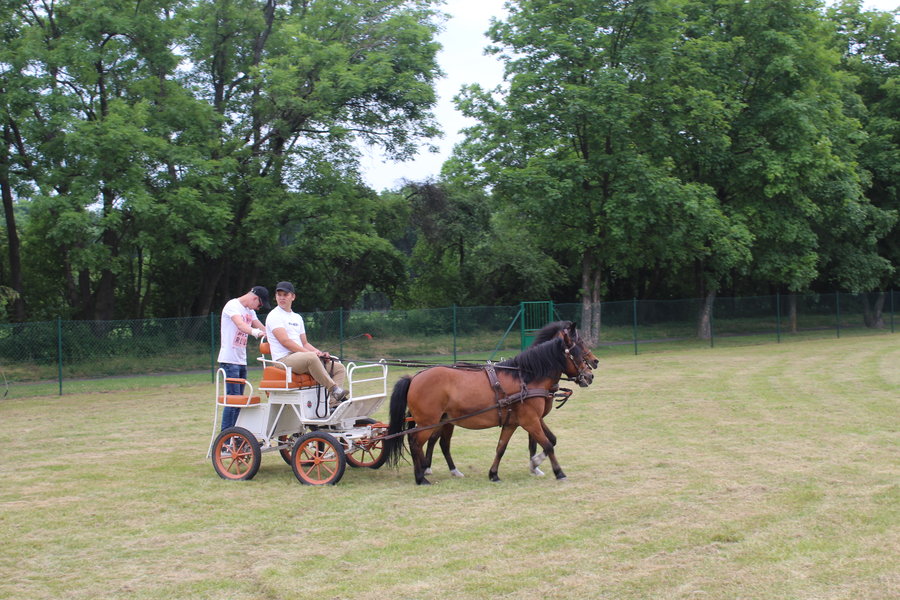 Liczyła się szybkość i zręczność
