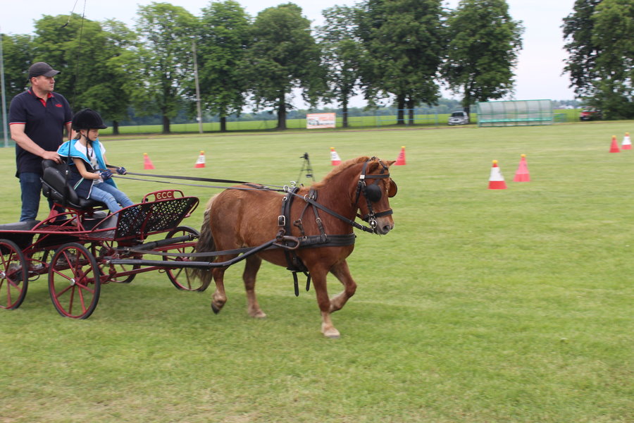 Liczyła się szybkość i zręczność