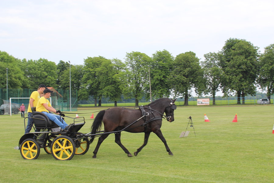Liczyła się szybkość i zręczność