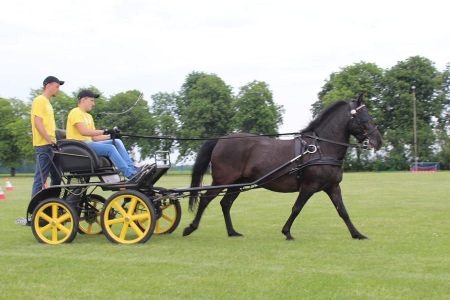 Liczyła się szybkość i zręczność