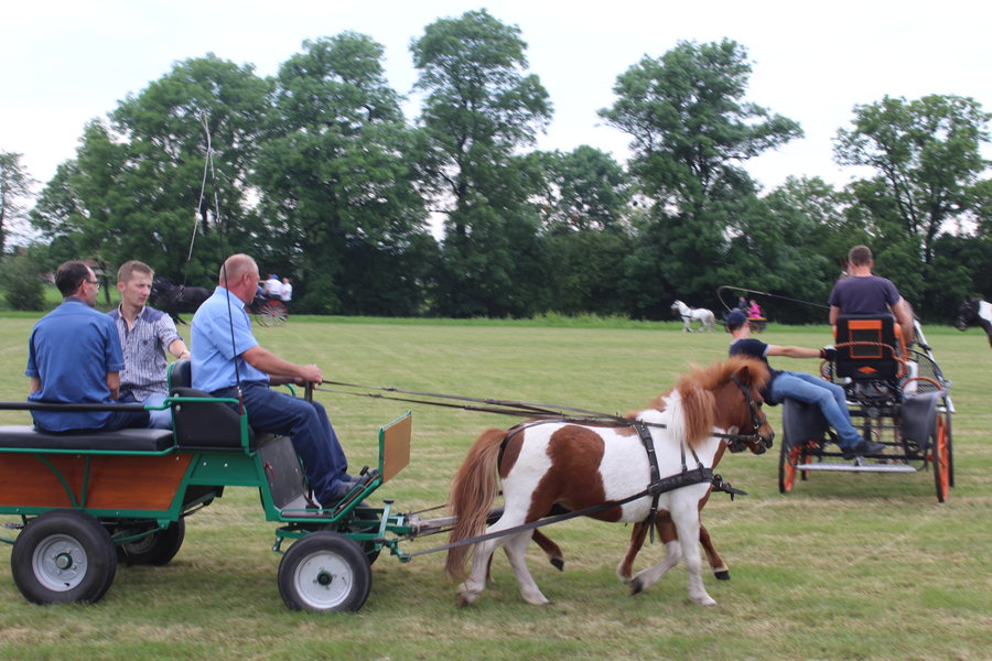Liczyła się szybkość i zręczność
