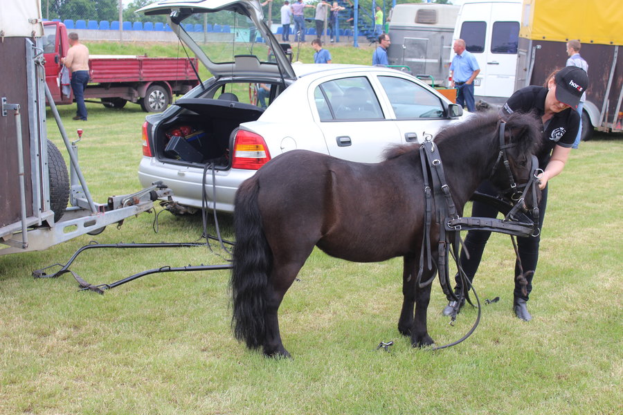Liczyła się szybkość i zręczność