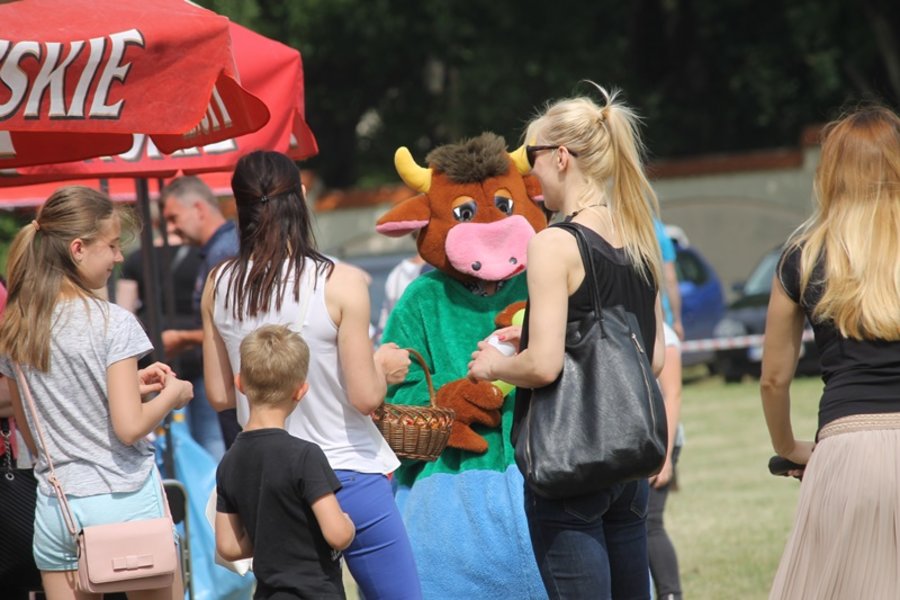 Pogoda nie była łaskawa