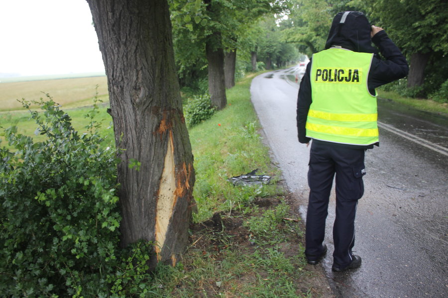 Wypadek w Szelejewie. Kierowca w ciężkim stanie