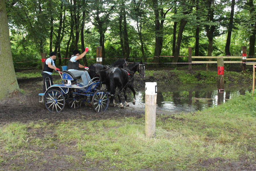 Jedyny taki sport, gdzie nie ma podziałów
