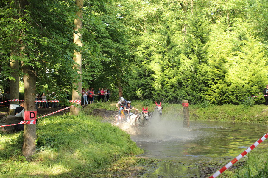 Jedyny taki sport, gdzie nie ma podziałów