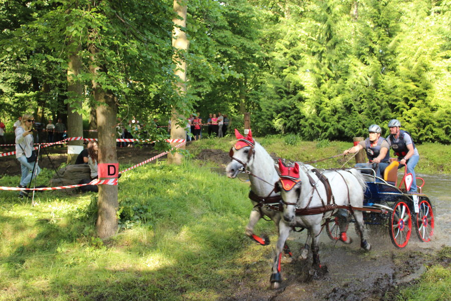 Jedyny taki sport, gdzie nie ma podziałów
