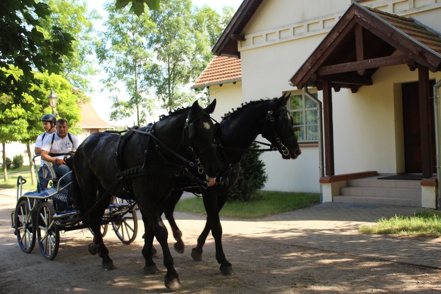 Jedyny taki sport, gdzie nie ma podziałów