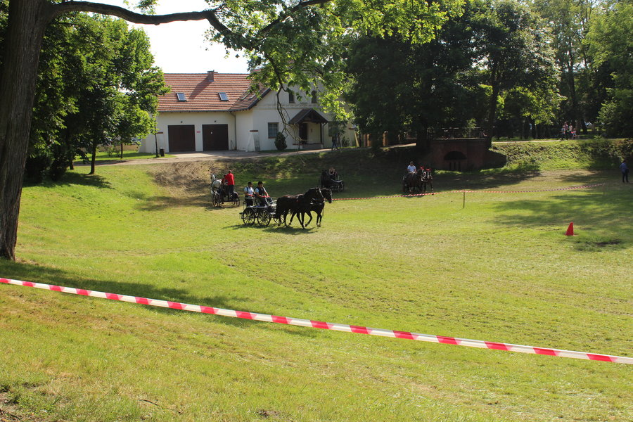 Jedyny taki sport, gdzie nie ma podziałów