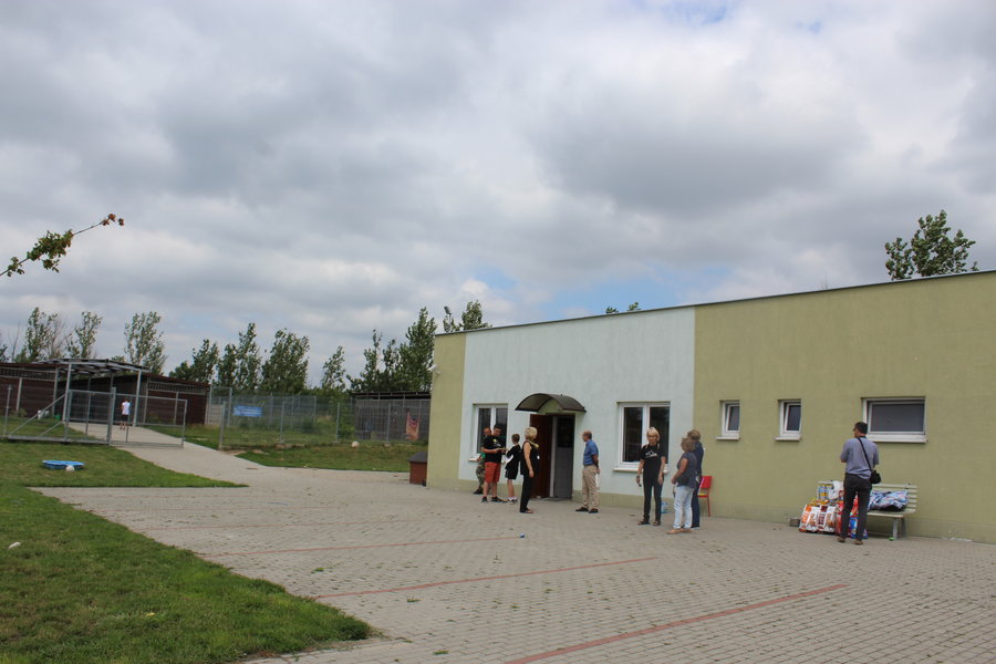 Mają fajne psiaki do adopcji