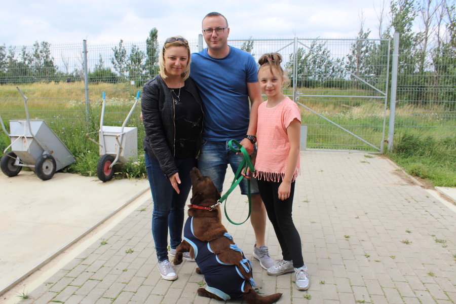 Mają fajne psiaki do adopcji