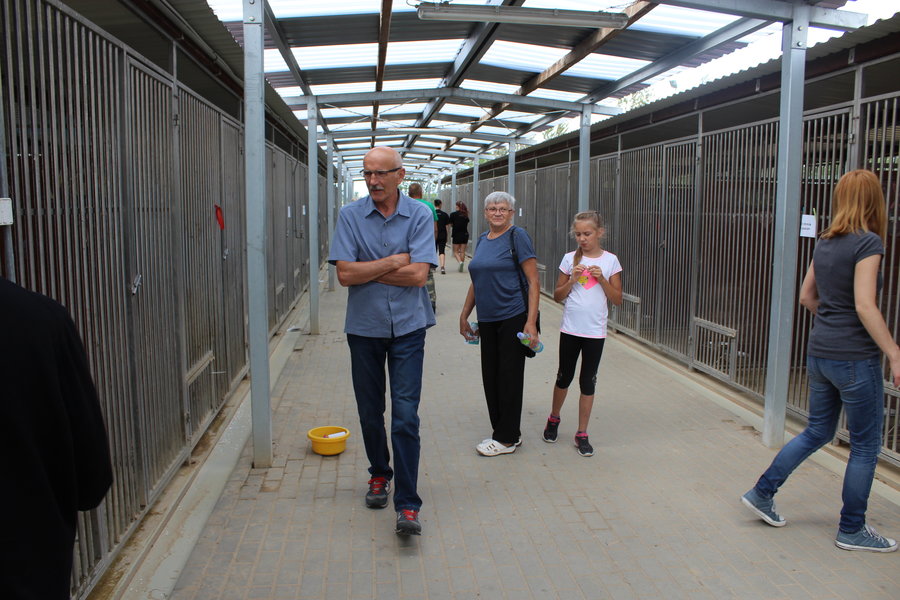 Mają fajne psiaki do adopcji