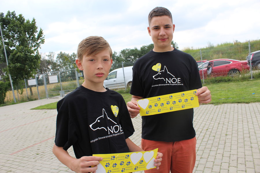 Mają fajne psiaki do adopcji