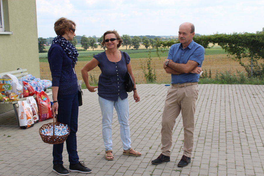Mają fajne psiaki do adopcji