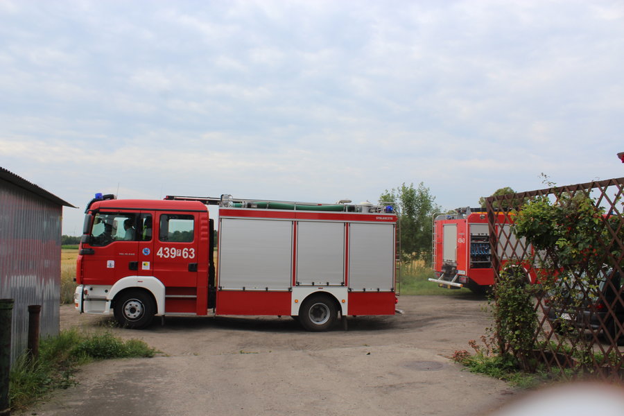 Niecodzienna akcja. Strażacy uratowali kota